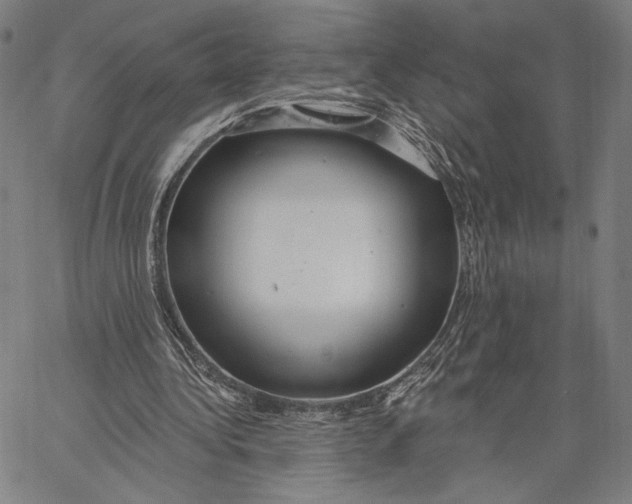 X0000067390340200604211639