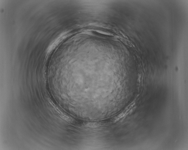 X0000067390341200604211639