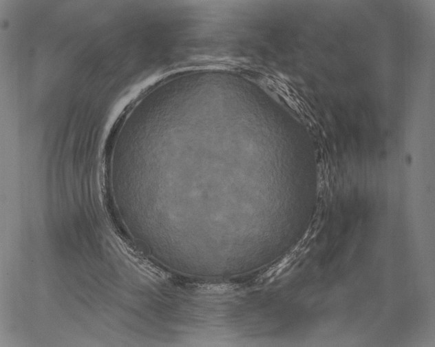 X0000067390342200604211639