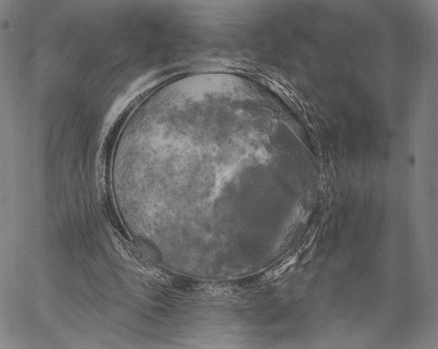 X0000067390343200604211639