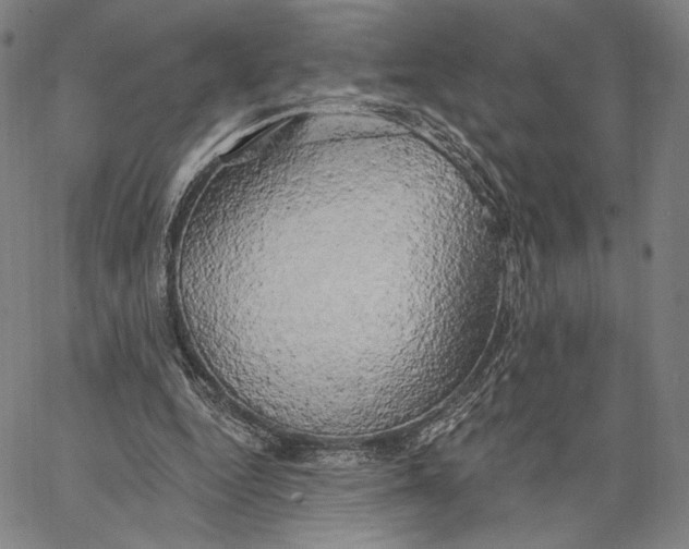 X0000067390344200604211639