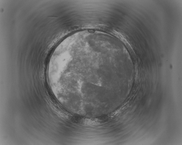 X0000067390346200604211639