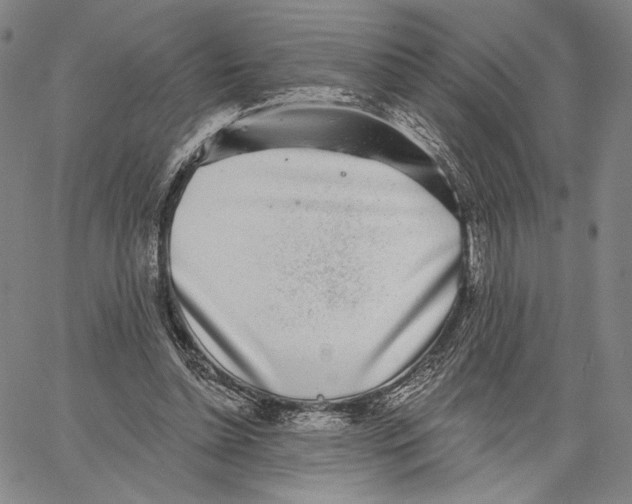 X0000067390348200604211639