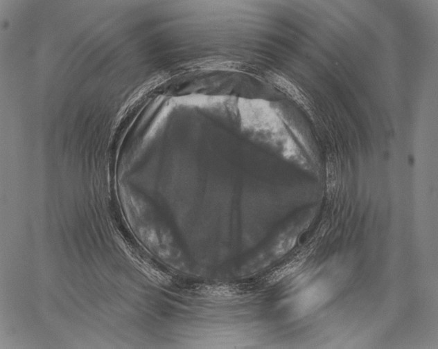 X0000067390349200604211639