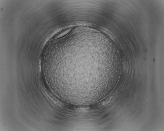 X0000067390350200604211639