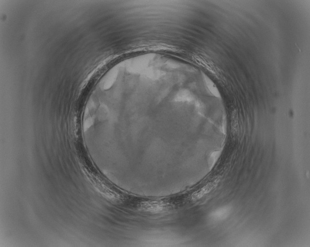 X0000067390351200604211639