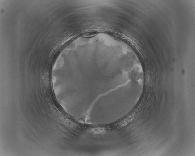 X0000067390353200604211639