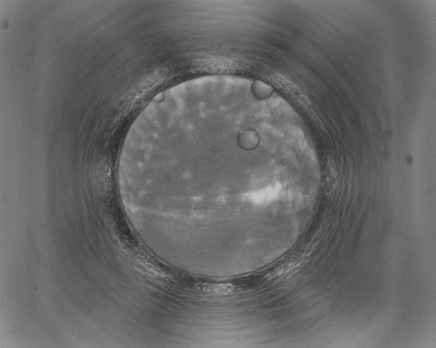 X0000067390355200604211639