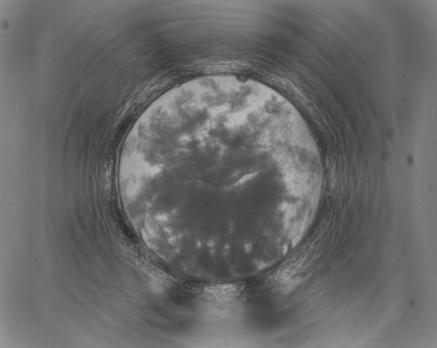 X0000067390357200604211639