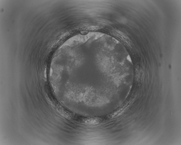 X0000067390358200604211639