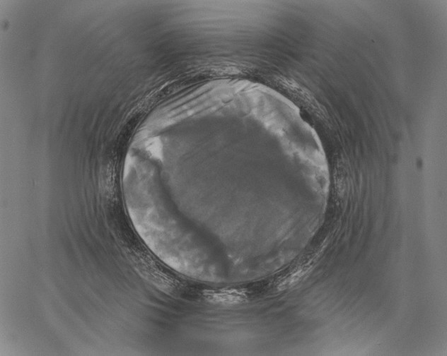 X0000067390359200604211639