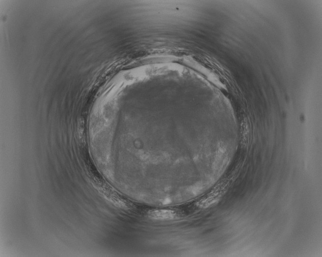 X0000067390361200604211639