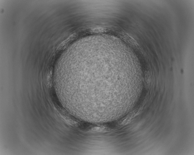 X0000067390364200604211639