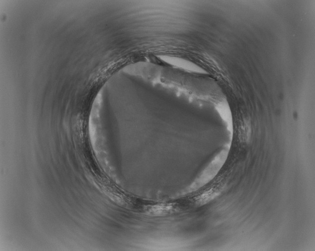 X0000067390366200604211639