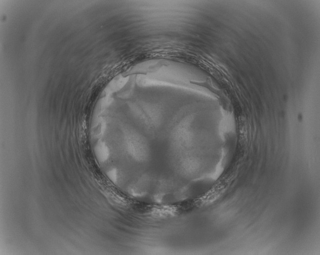 X0000067390369200604211639