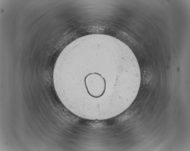 X0000067390370200604211639