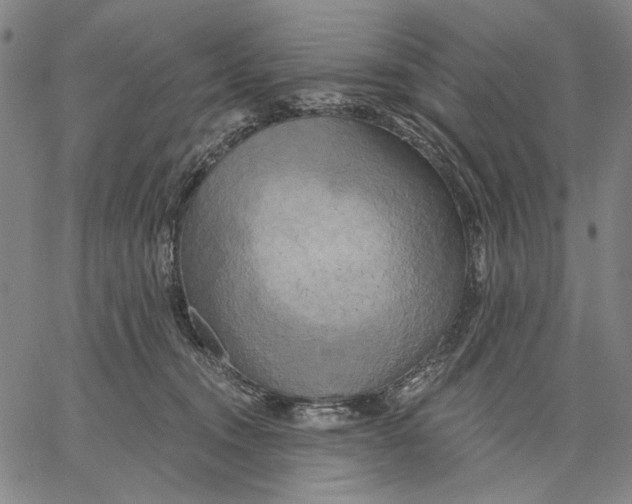 X0000067390372200604211639