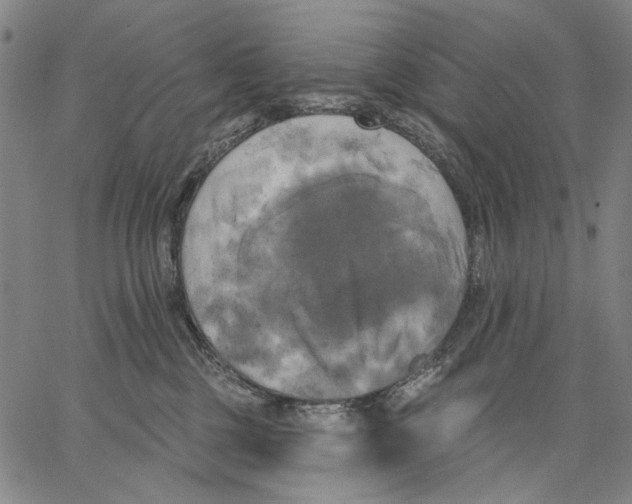 X0000067390377200604211639