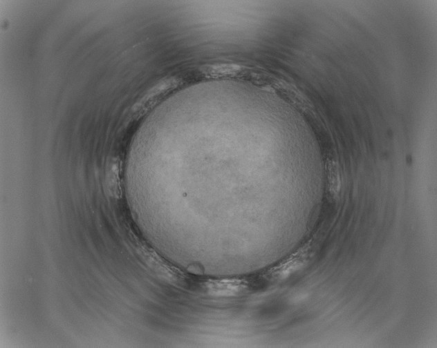 X0000067390378200604211640