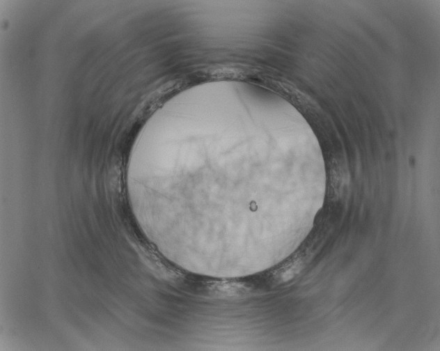 X0000067390379200604211640