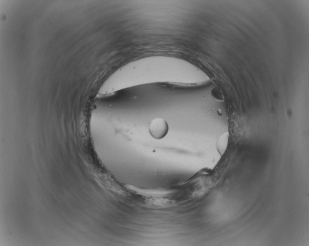 X0000067390380200604211640