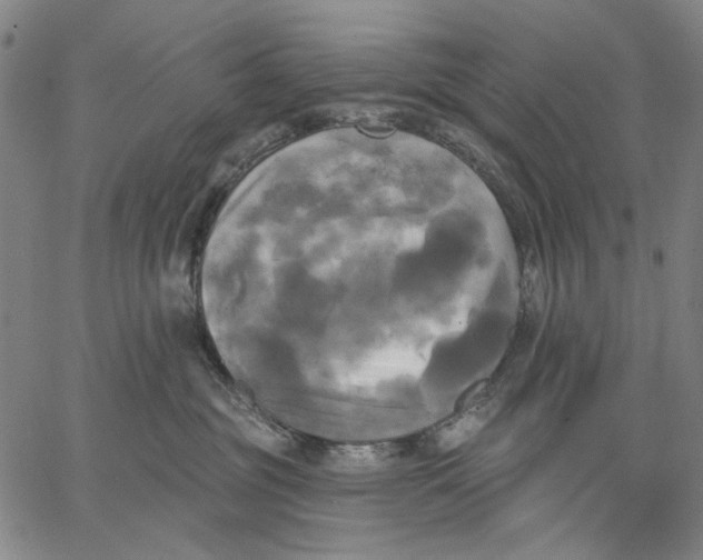 X0000067390381200604211640