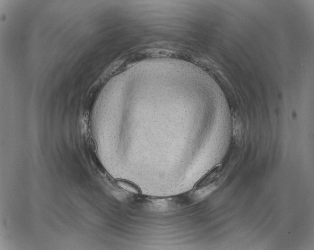 X0000067390382200604211640