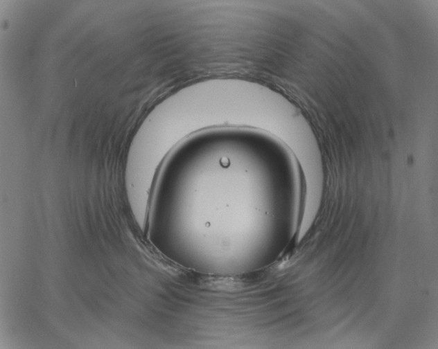 X0000067390383200604211640