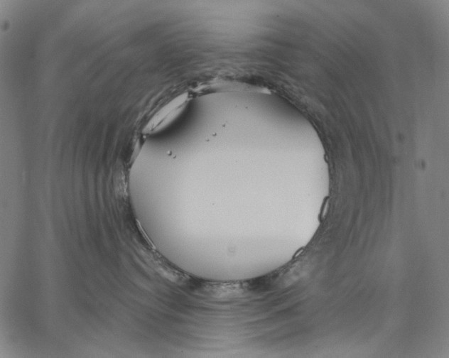 X0000067390384200604211640