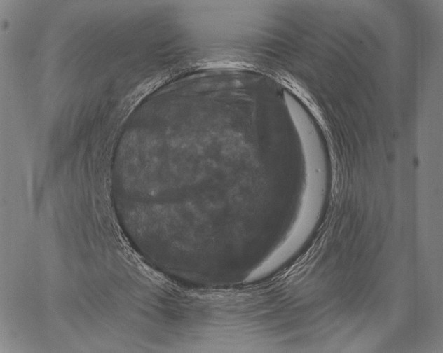 X0000067390385200604211639