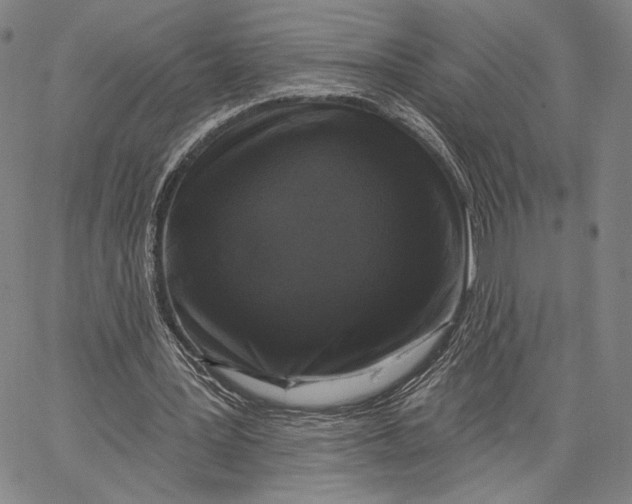 X0000067390387200604211639