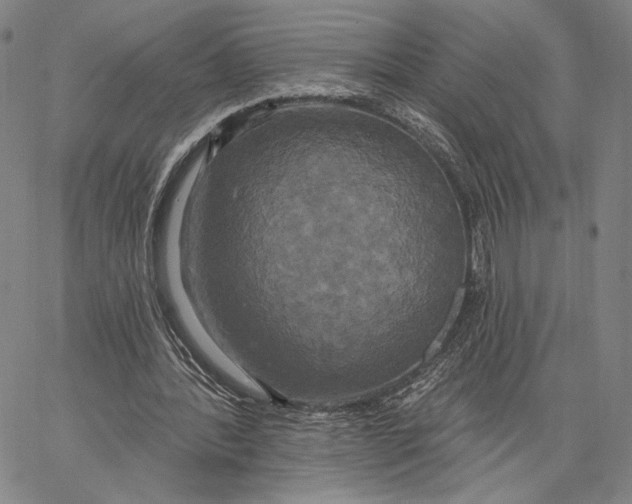 X0000067390388200604211639