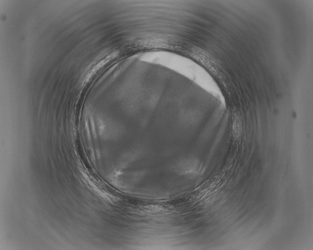 X0000067390390200604211639