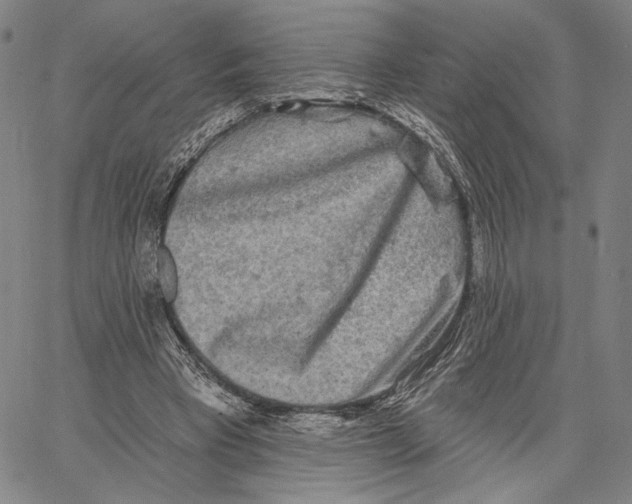 X0000067390393200604211639