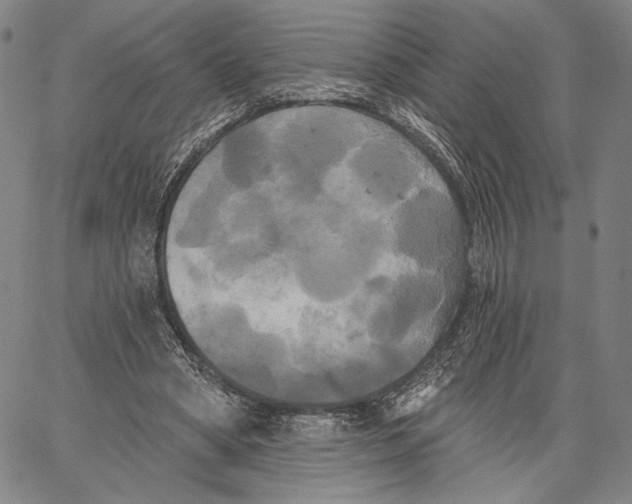 X0000067390394200604211639