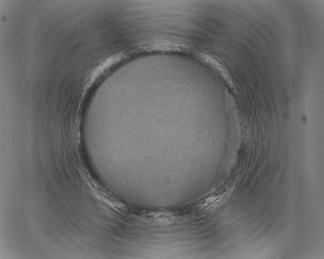 X0000067390395200604211639