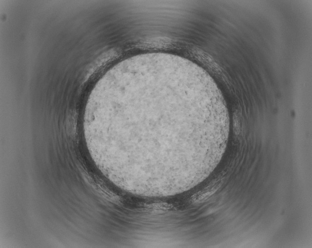 X0000067390396200604211639