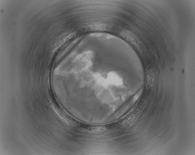 X0000067390398200604211639