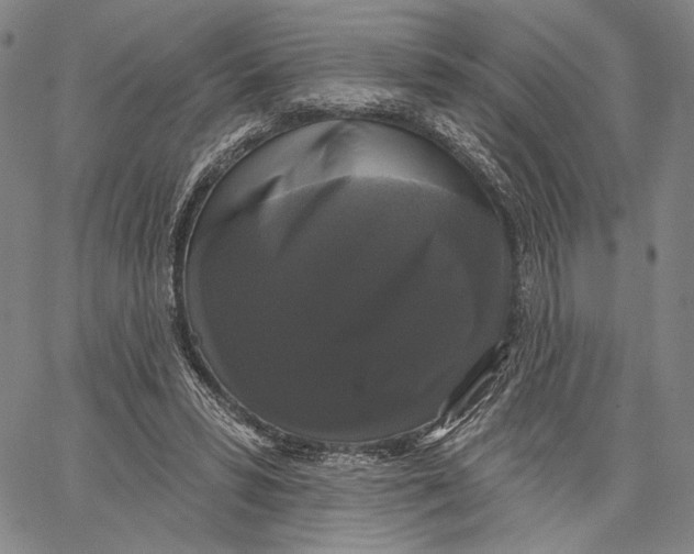 X0000067390399200604211639