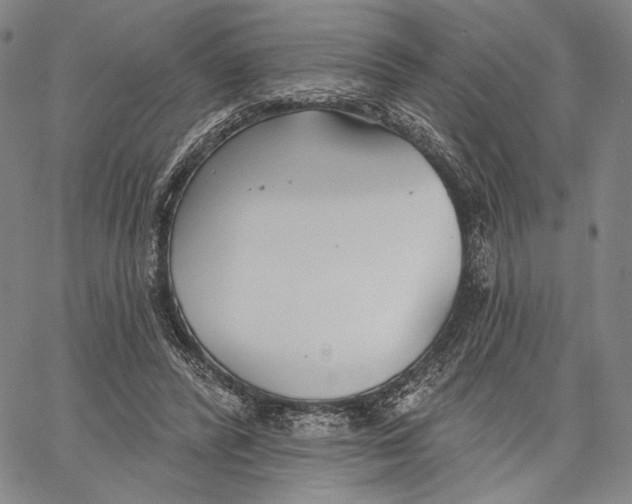 X0000067390400200604211639