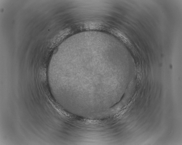 X0000067390401200604211639