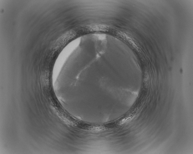 X0000067390402200604211639