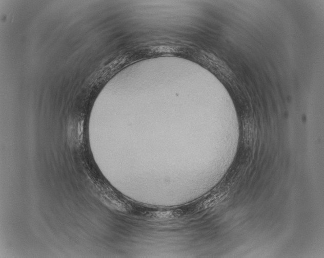 X0000067390406200604211638