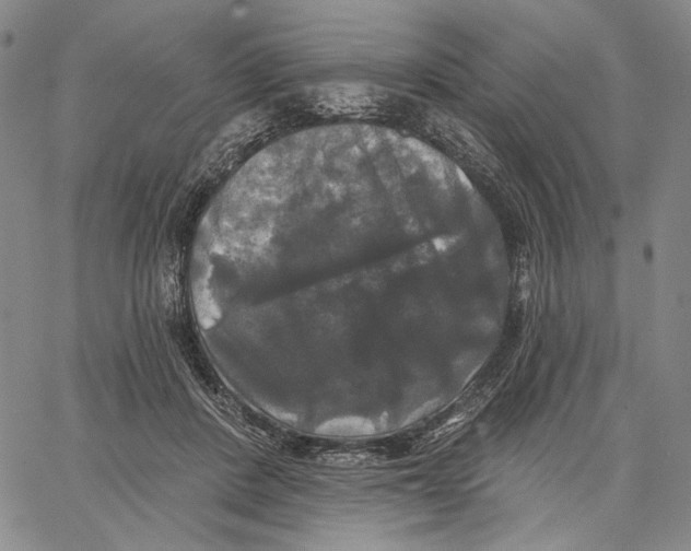 X0000067390408200604211638