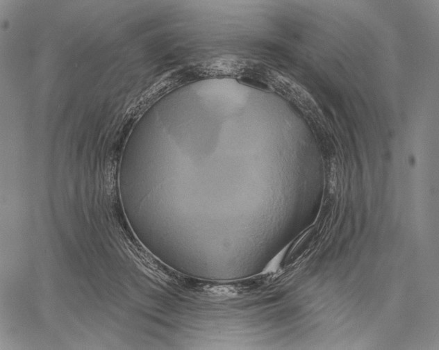 X0000067390409200604211638