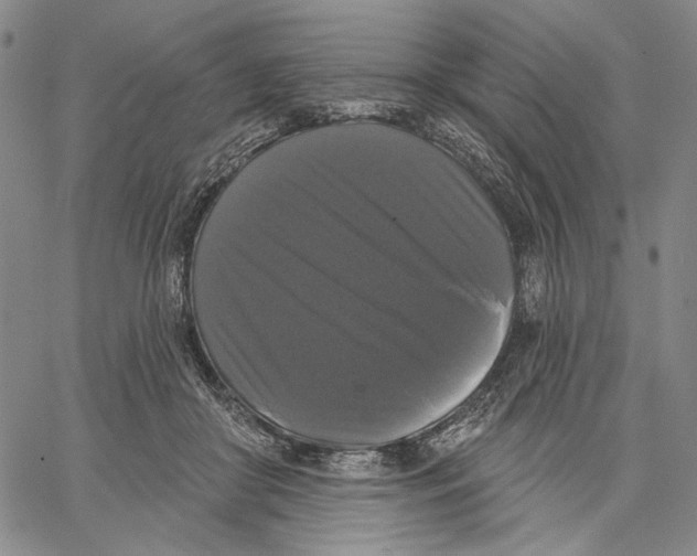 X0000067390410200604211638