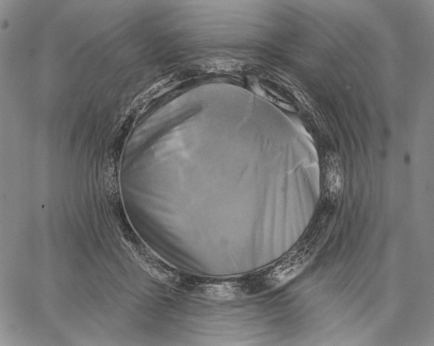 X0000067390411200604211638