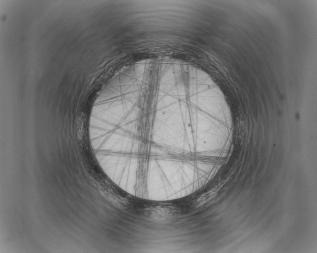 X0000067390412200604211638