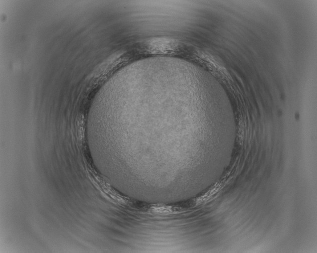 X0000067390413200604211638