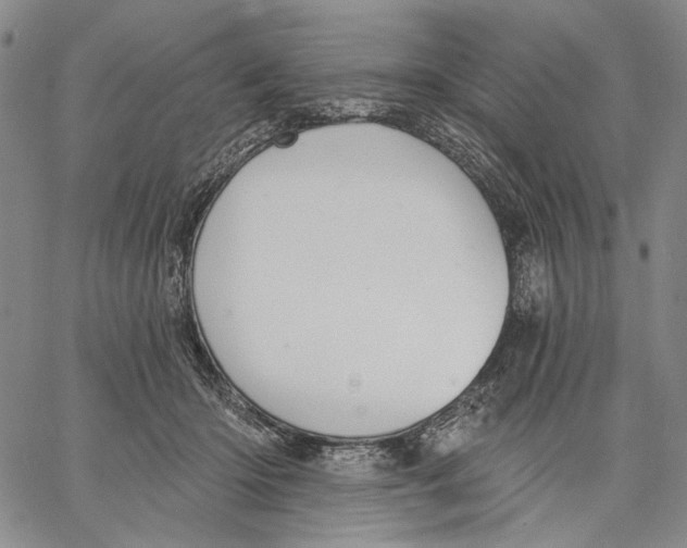 X0000067390414200604211638